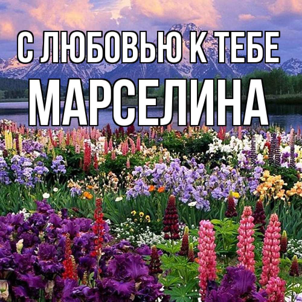 Открытка  с именем. Марселина, С любовью к тебе  