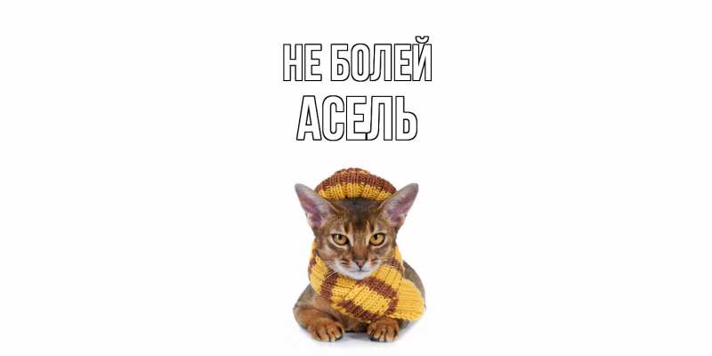 Картинка Не болей, Асель