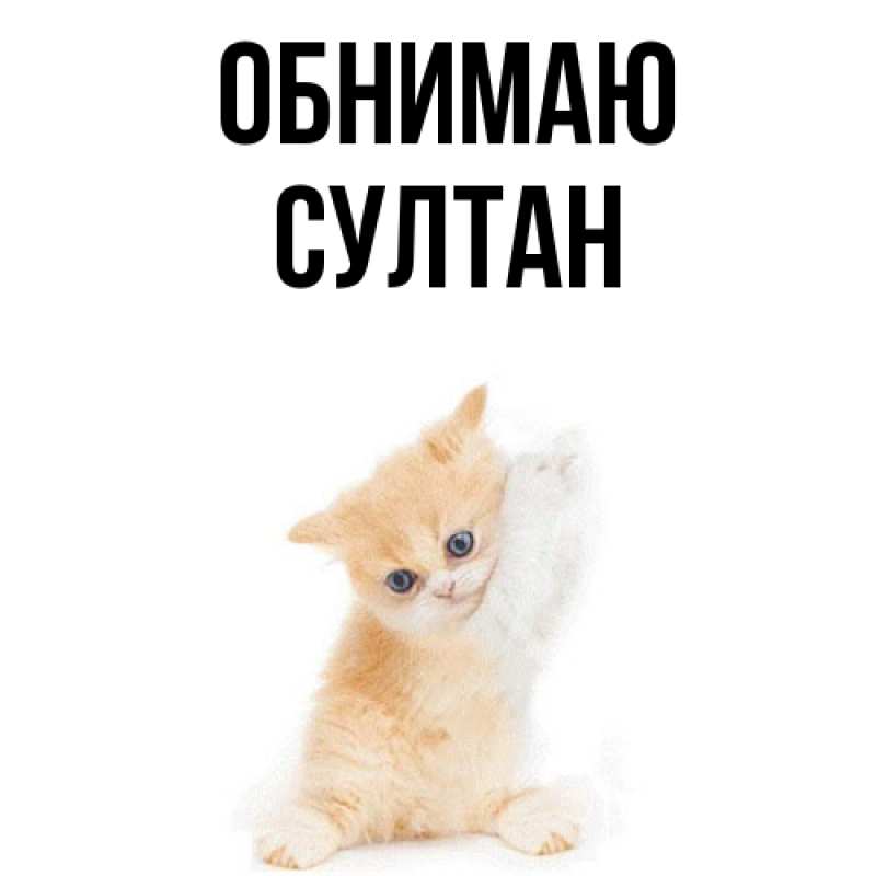 Картинка Обнимаю, Султан