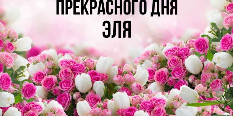 Картинка Прекрасного дня, Эля