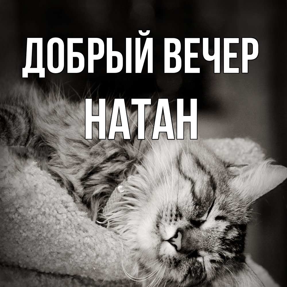 Открытка  с именем. Натан, Добрый вечер  