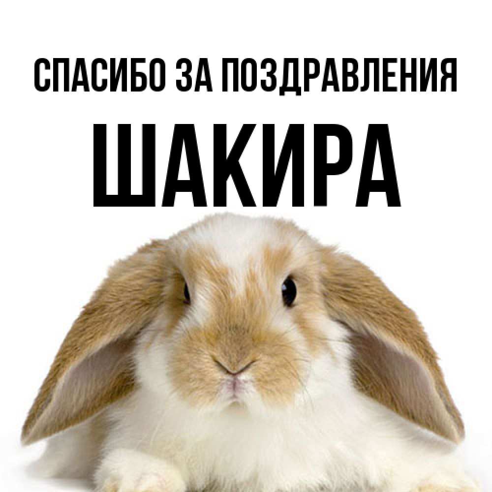 Открытка  с именем. Шакира, Спасибо за поздравления  