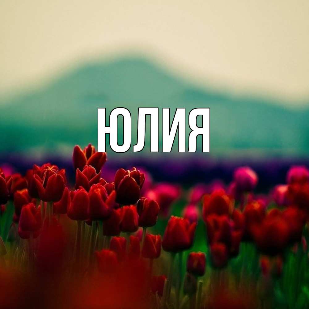 Открытка  с именем. Юлия, Главная  