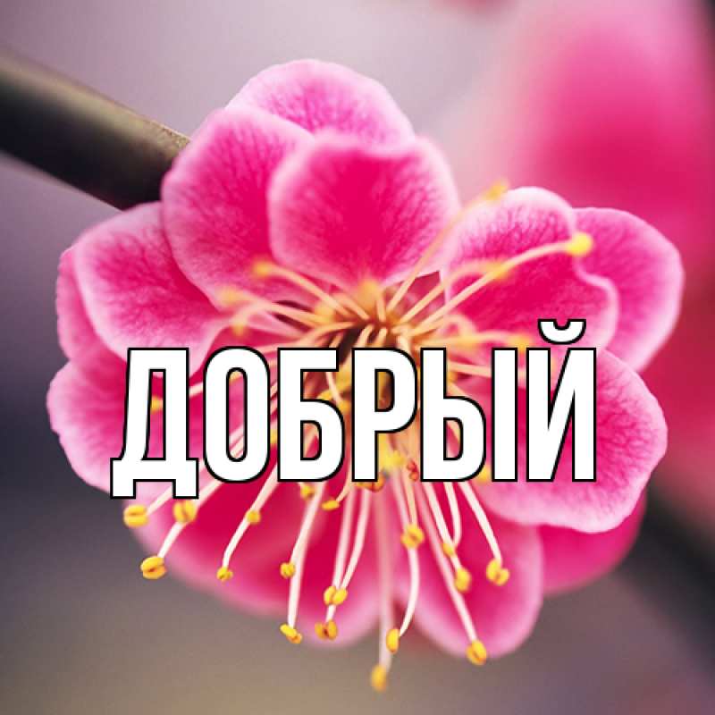 Картинка  с именем , Добрый