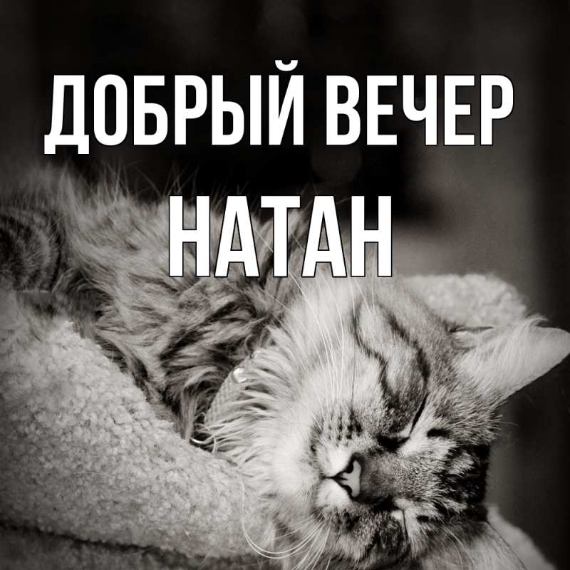 Картинка Добрый вечер, Натан