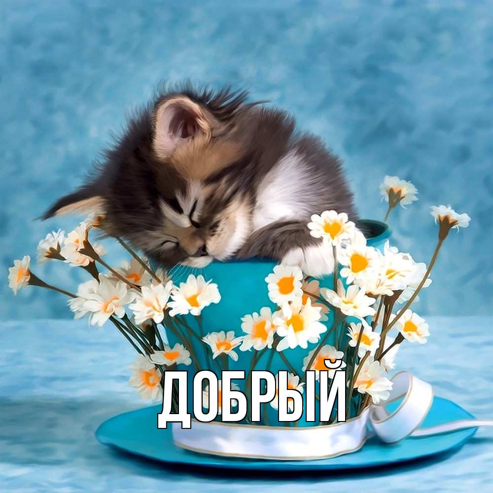 Открытка  с именем. Добрый, Главная  