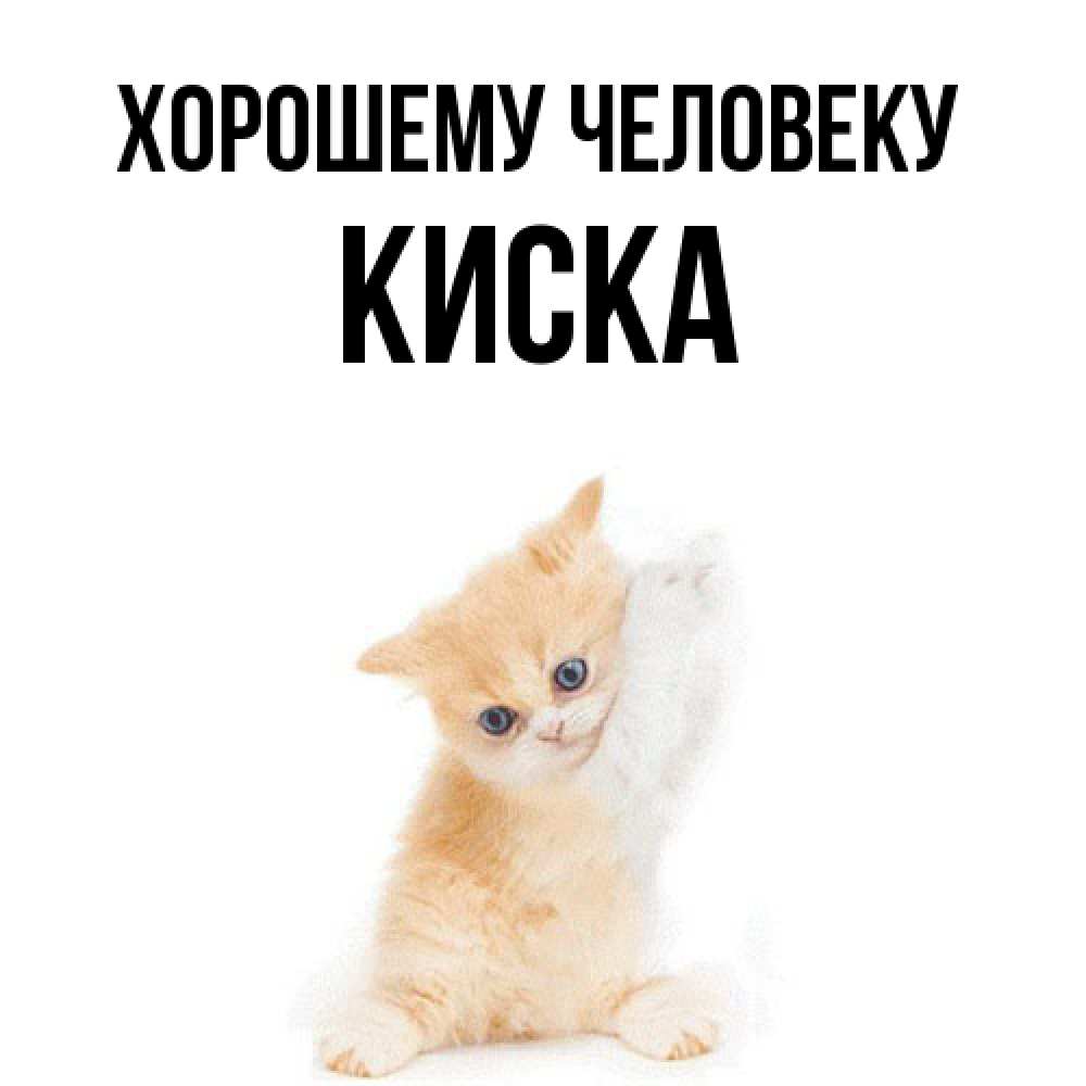 Открытка  с именем. Киска, Хорошему человеку  