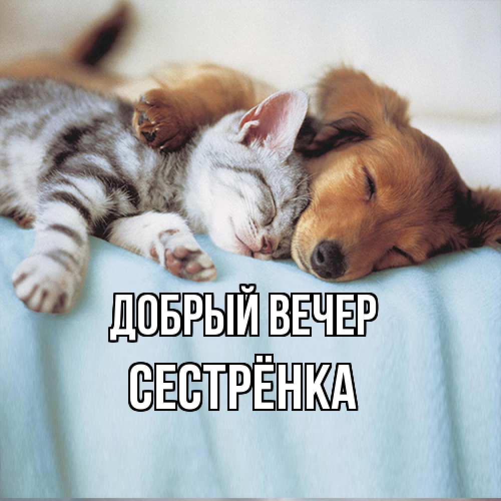 Открытка  с именем. Сестрёнка, Добрый вечер  