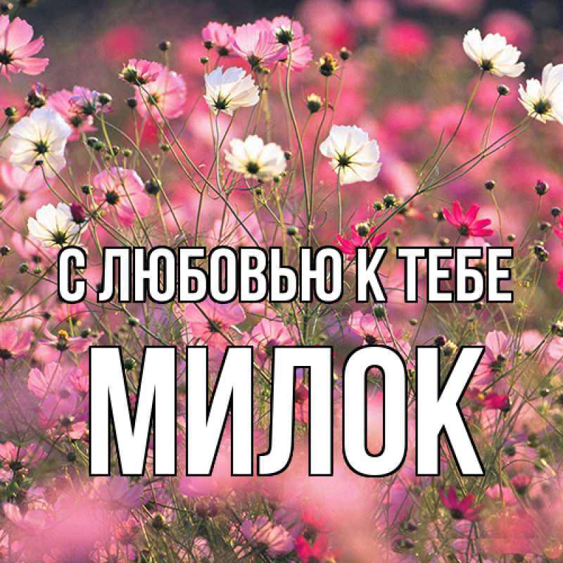 Картинка С любовью к тебе, Милок