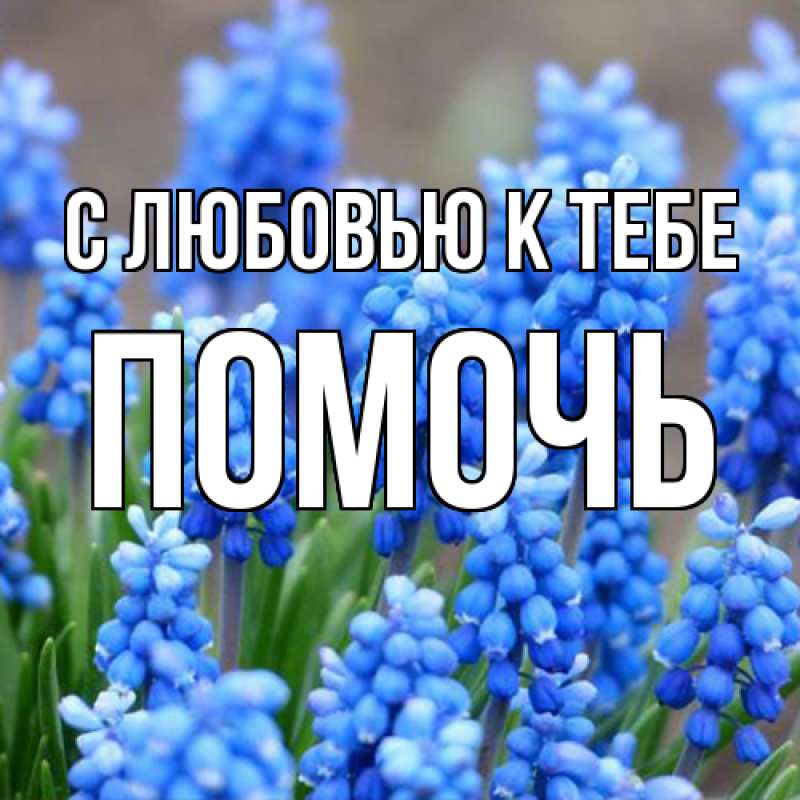 Картинка С любовью к тебе, Помочь