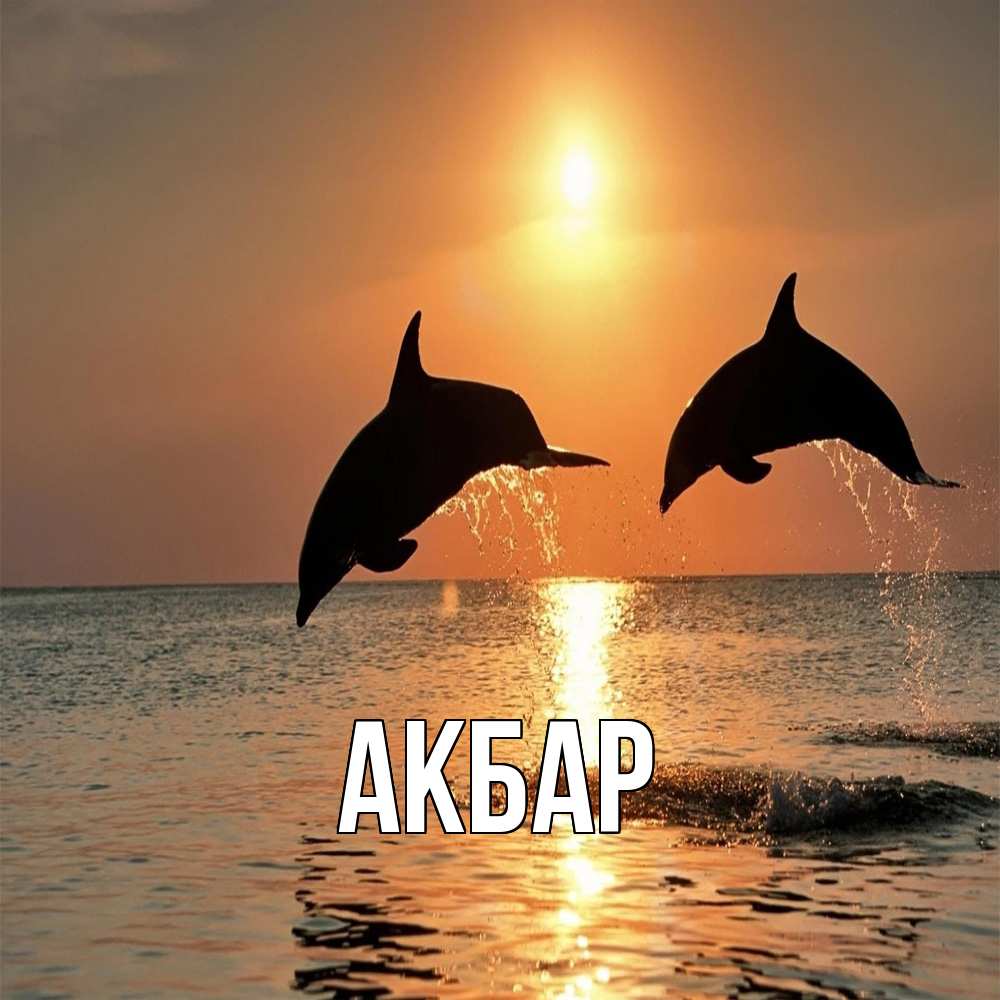 Открытка  с именем. Акбар, Главная  