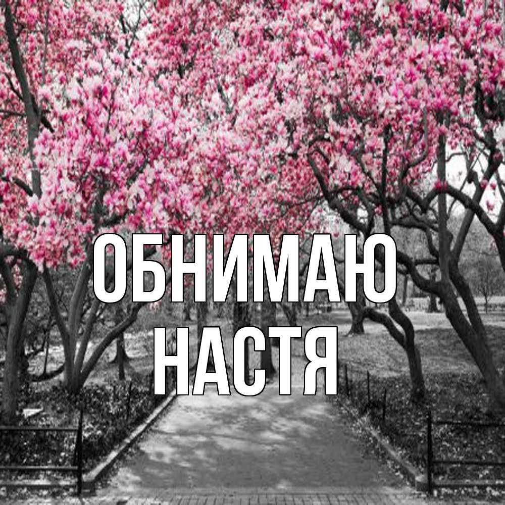 Открытка  с именем. Настя, Обнимаю  