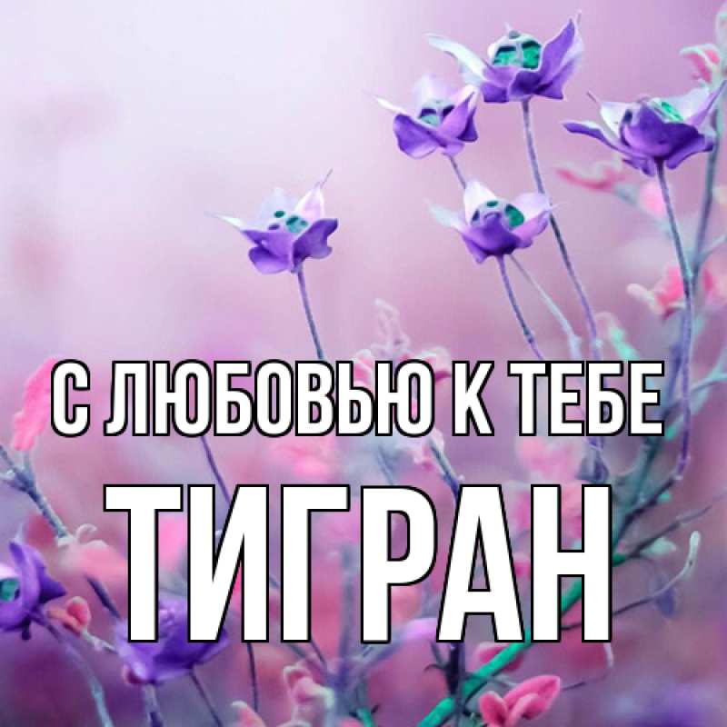 Картинка С любовью к тебе, Тигран