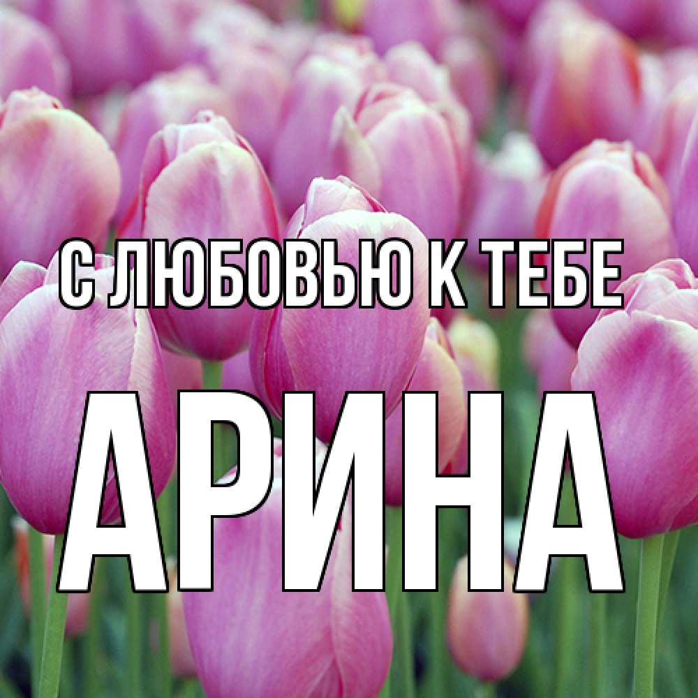 Открытка  с именем. Арина, С любовью к тебе  