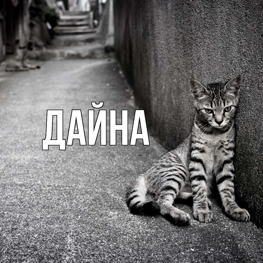 Открытка  с именем. Дайна, Главная  