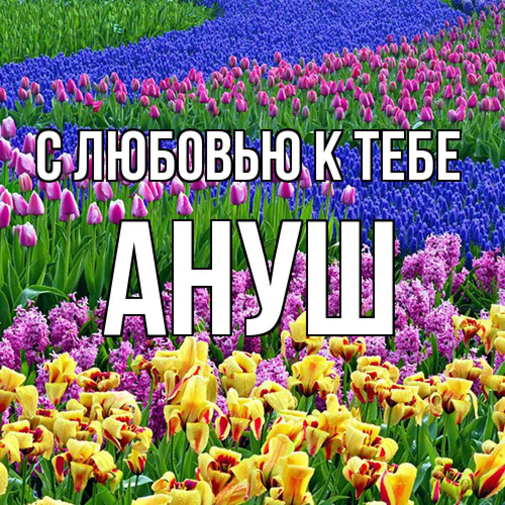 Открытка  с именем. Ануш, С любовью к тебе  