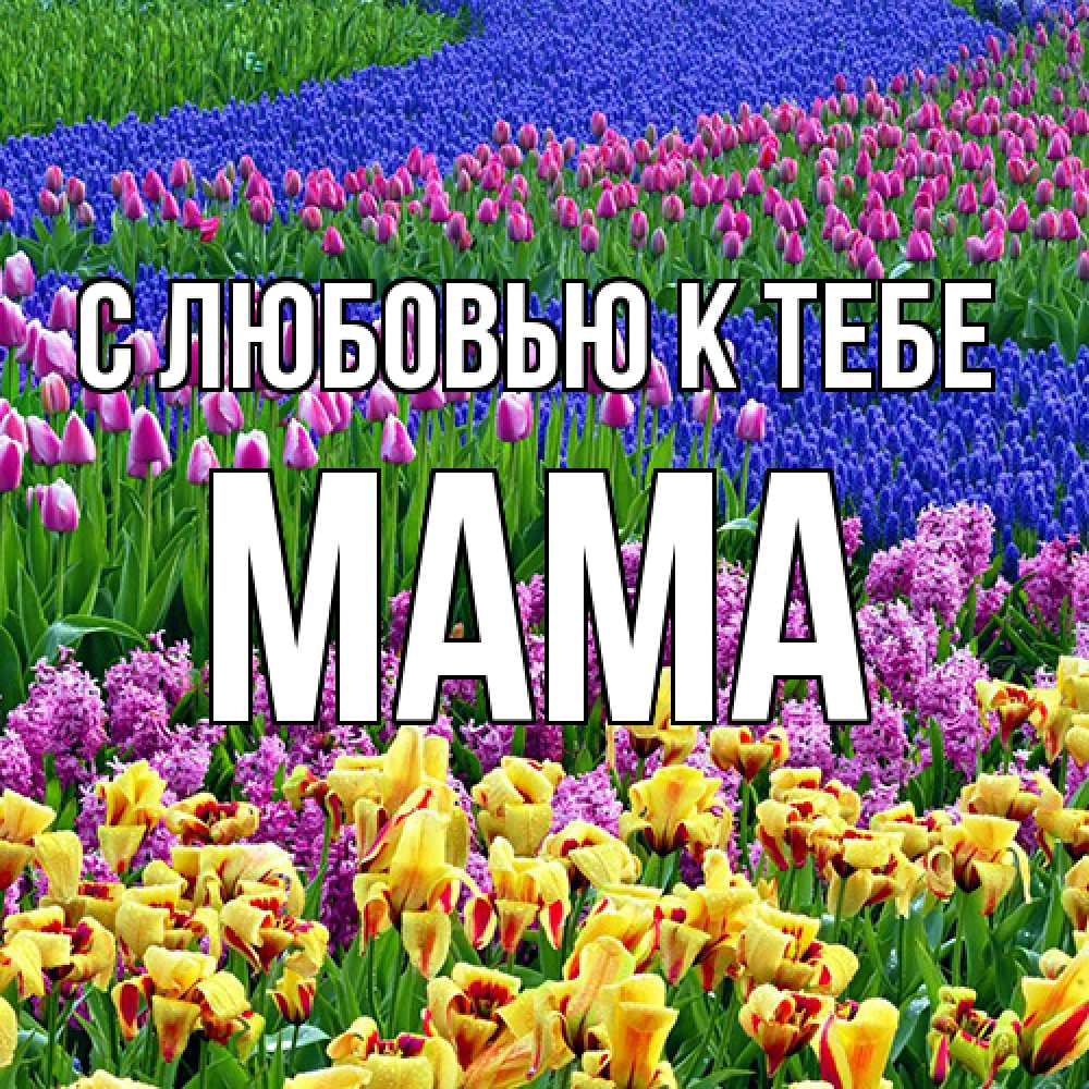 Открытка  с именем. Мама, С любовью к тебе  