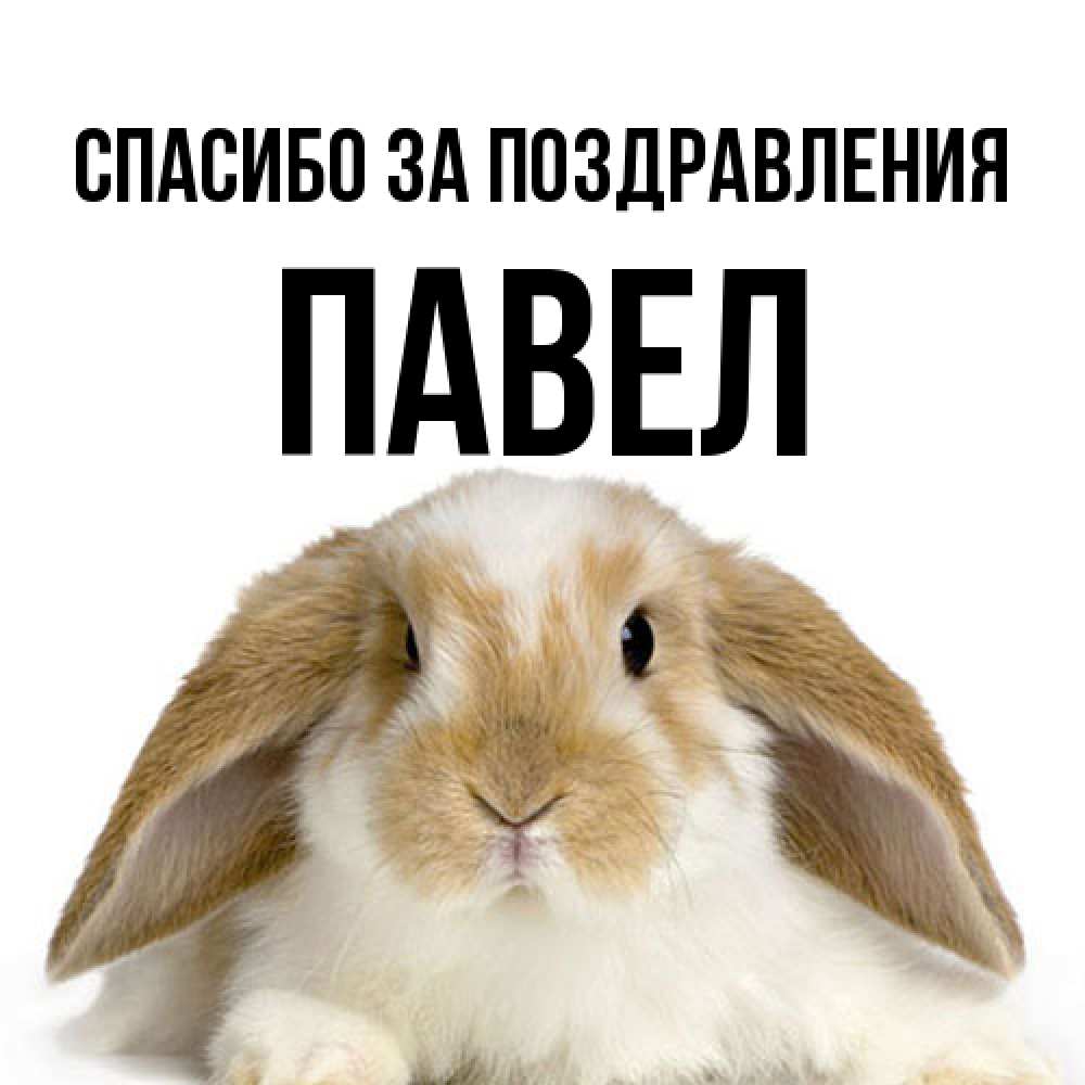 Открытка  с именем. Павел, Спасибо за поздравления  