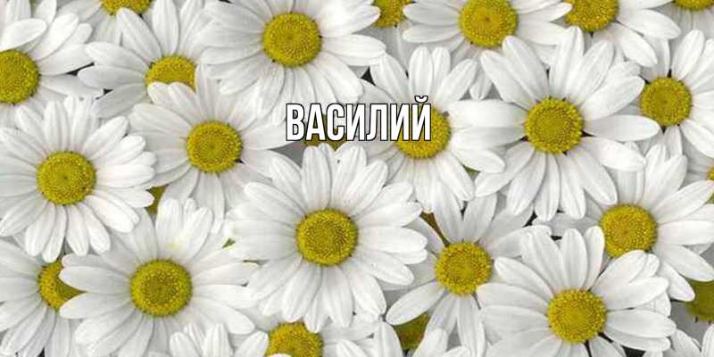 Картинка  с именем , Василий