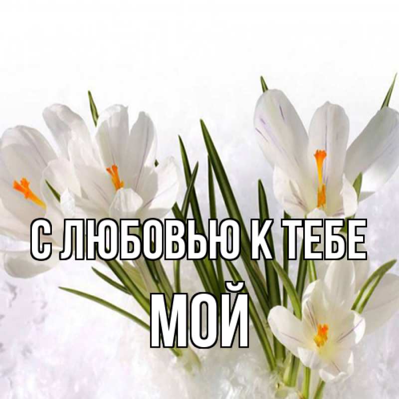 Картинка С любовью к тебе, Мой