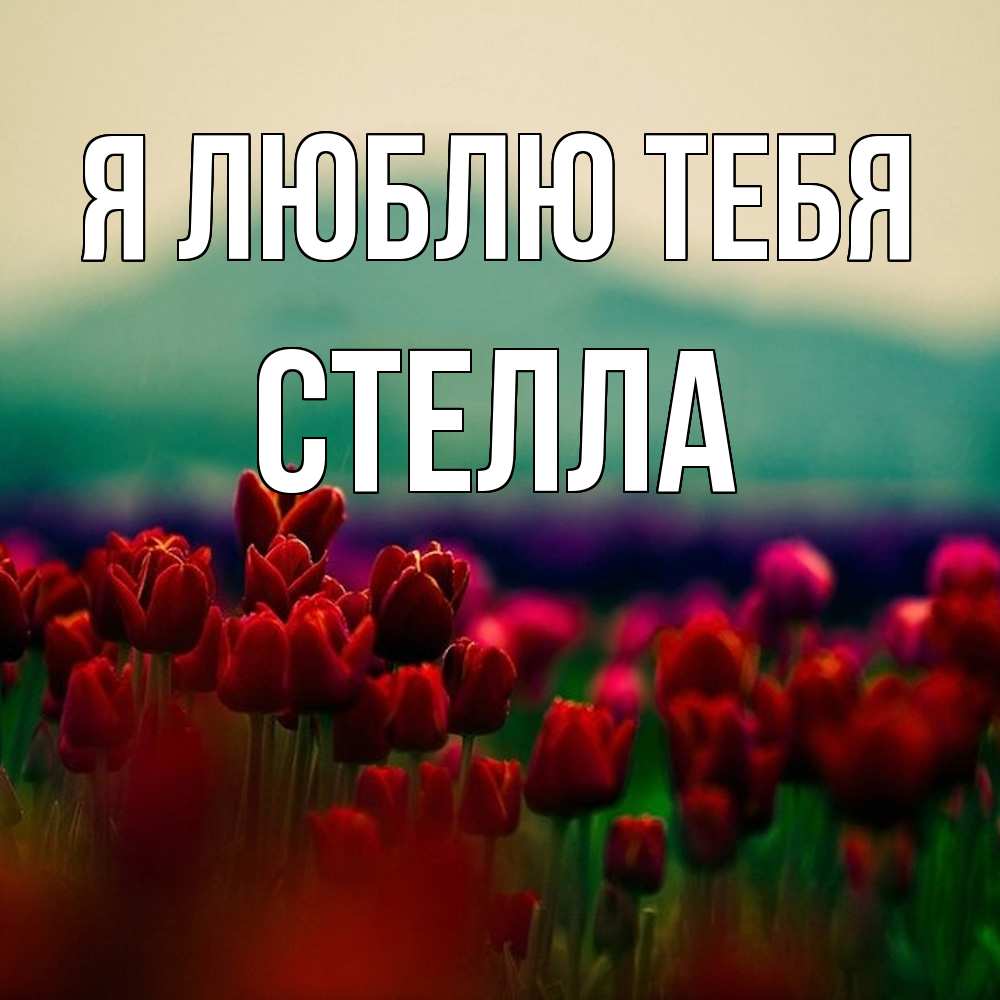 Открытка  с именем. Стелла, Я люблю тебя  