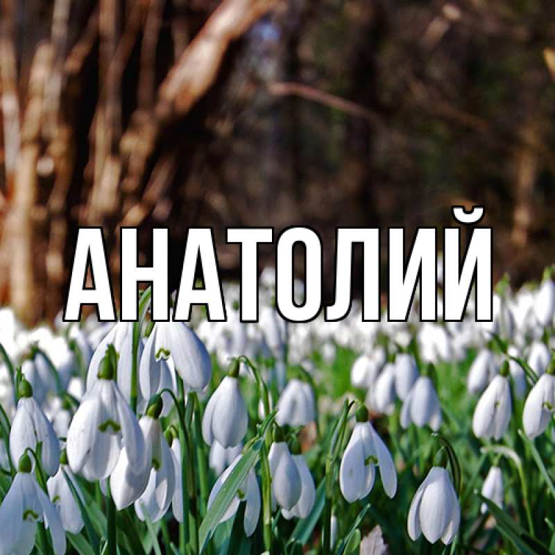 Картинка  с именем , Анатолий