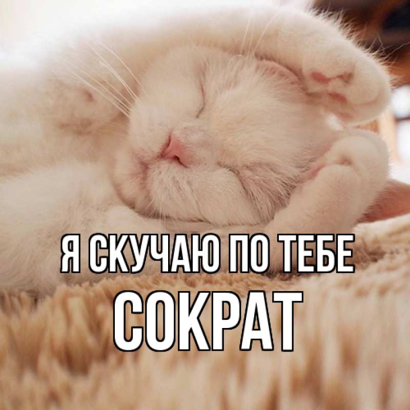 Картинка Я скучаю по тебе, Сократ