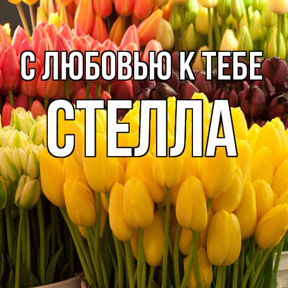 Открытка  с именем. Стелла, С любовью к тебе  