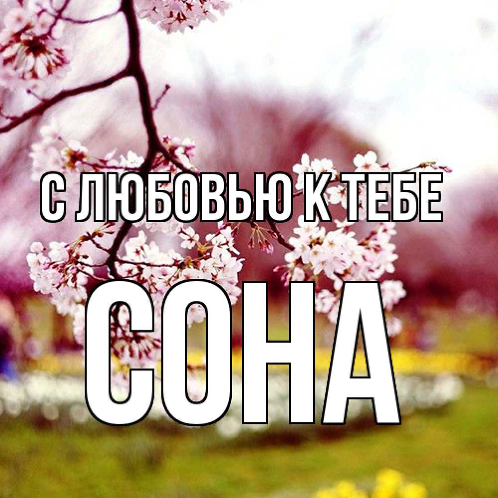 Открытка  с именем. СОНА, С любовью к тебе  