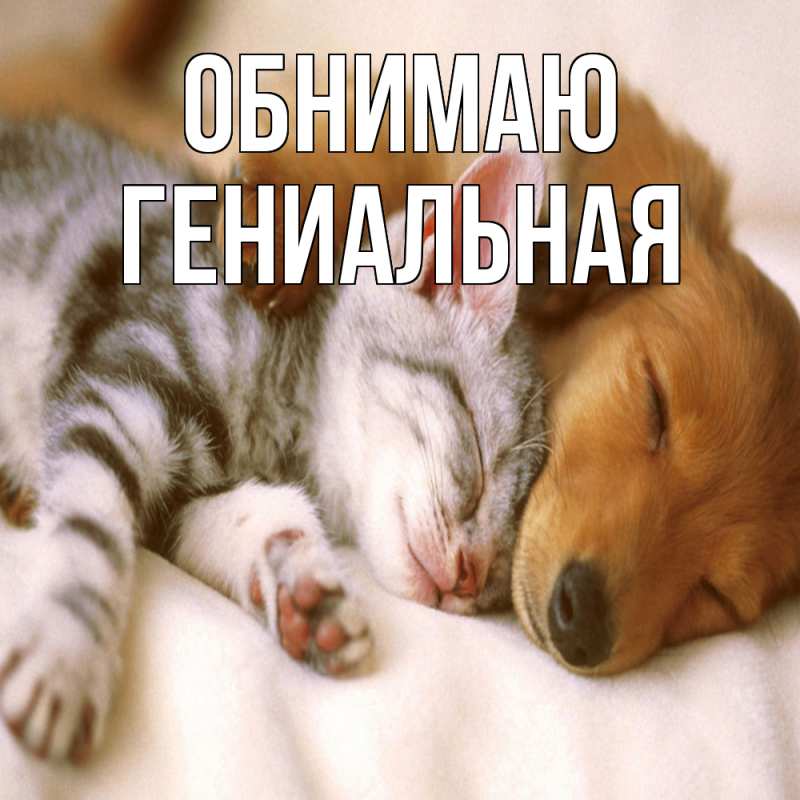 Картинка Обнимаю, Гениальная