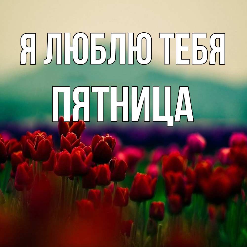 Открытка  с именем. Пятница, Я люблю тебя  