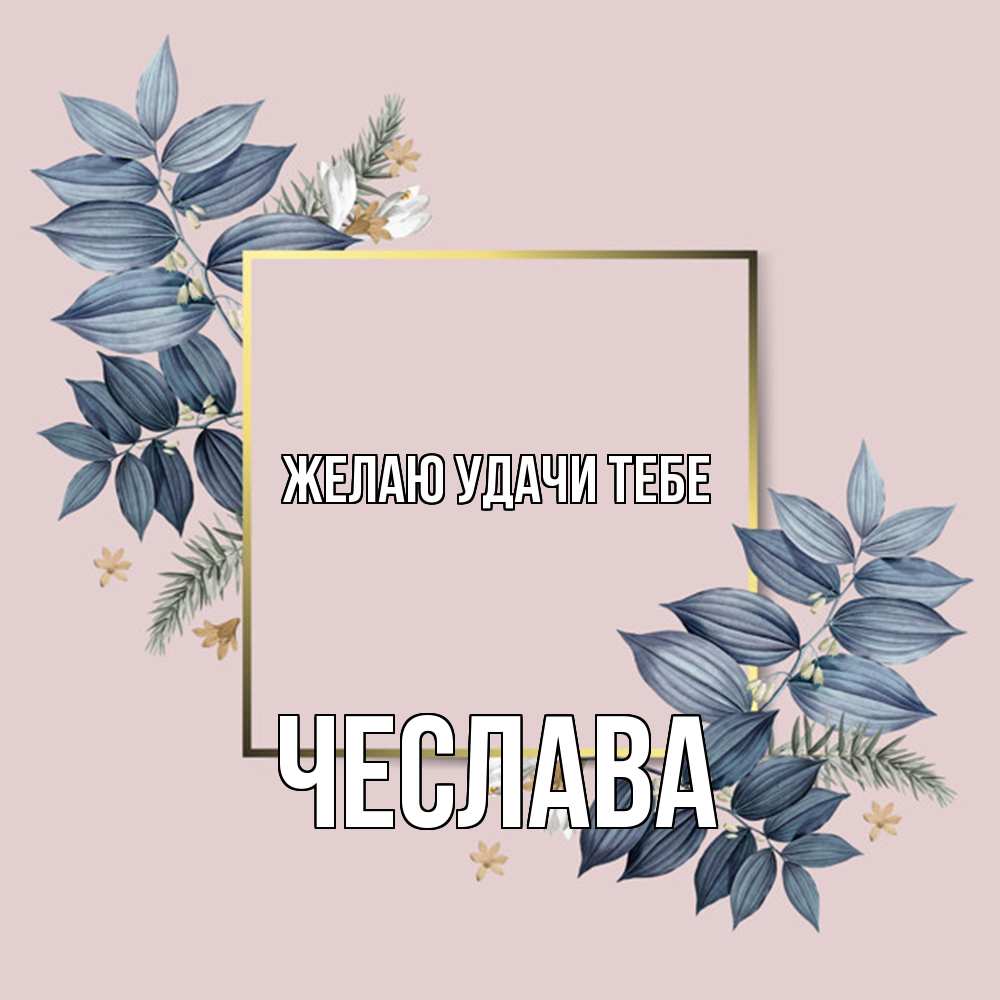 Открытка  с именем. Чеслава, Желаю удачи тебе  