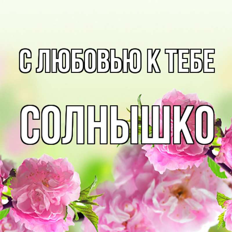 Картинка С любовью к тебе, Солнышко