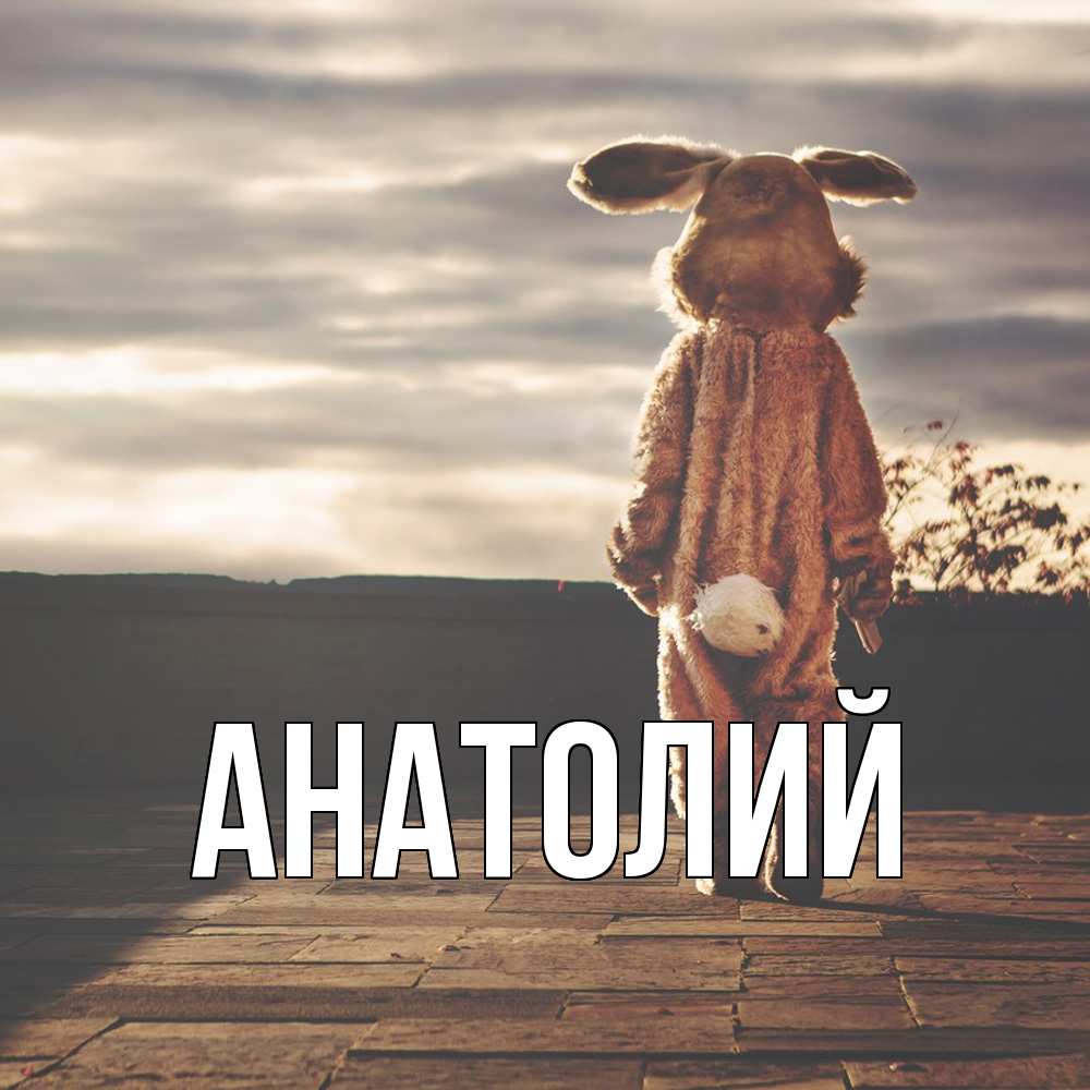 Открытка  с именем. Анатолий, Главная  