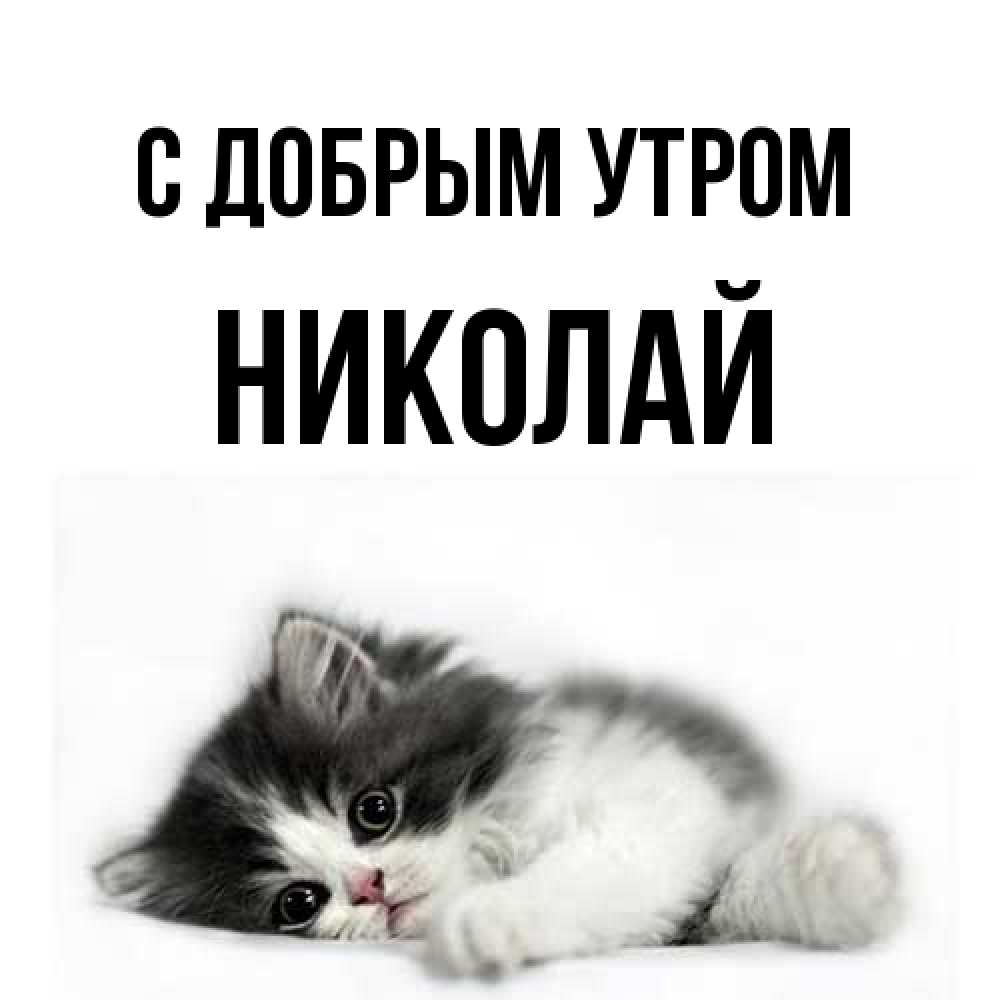 Открытка  с именем. Николай, С добрым утром  