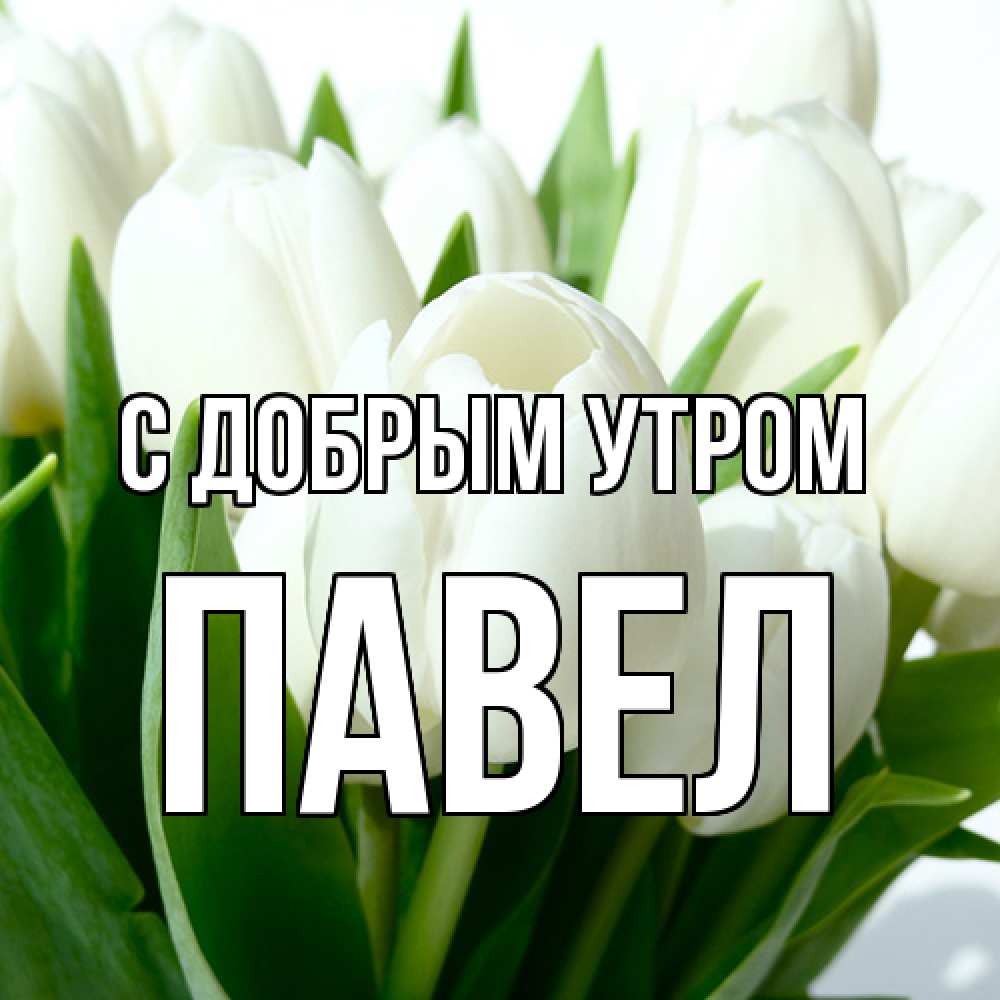 Открытка  с именем. Павел, С добрым утром  