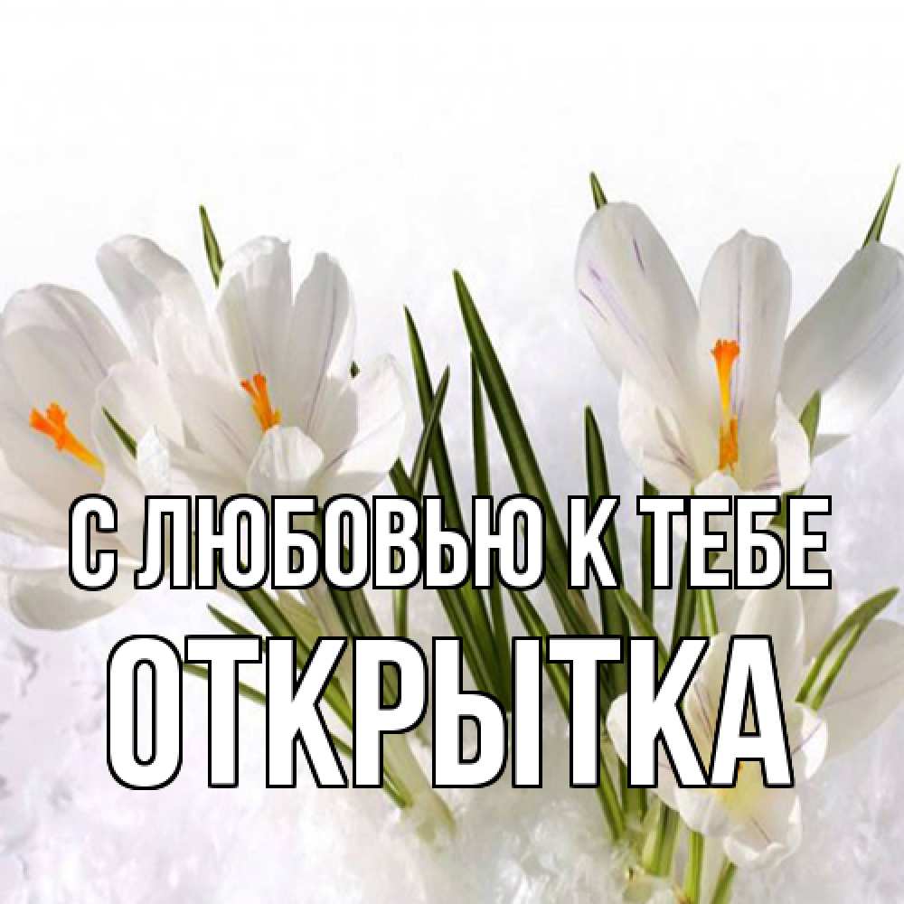 Открытка  с именем. открытка, С любовью к тебе  