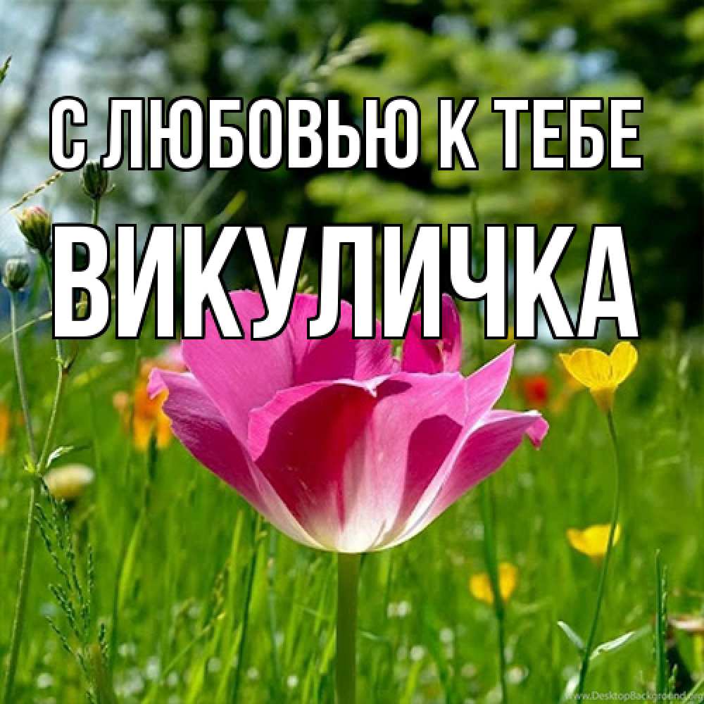Открытка  с именем. Викуличка, С любовью к тебе  