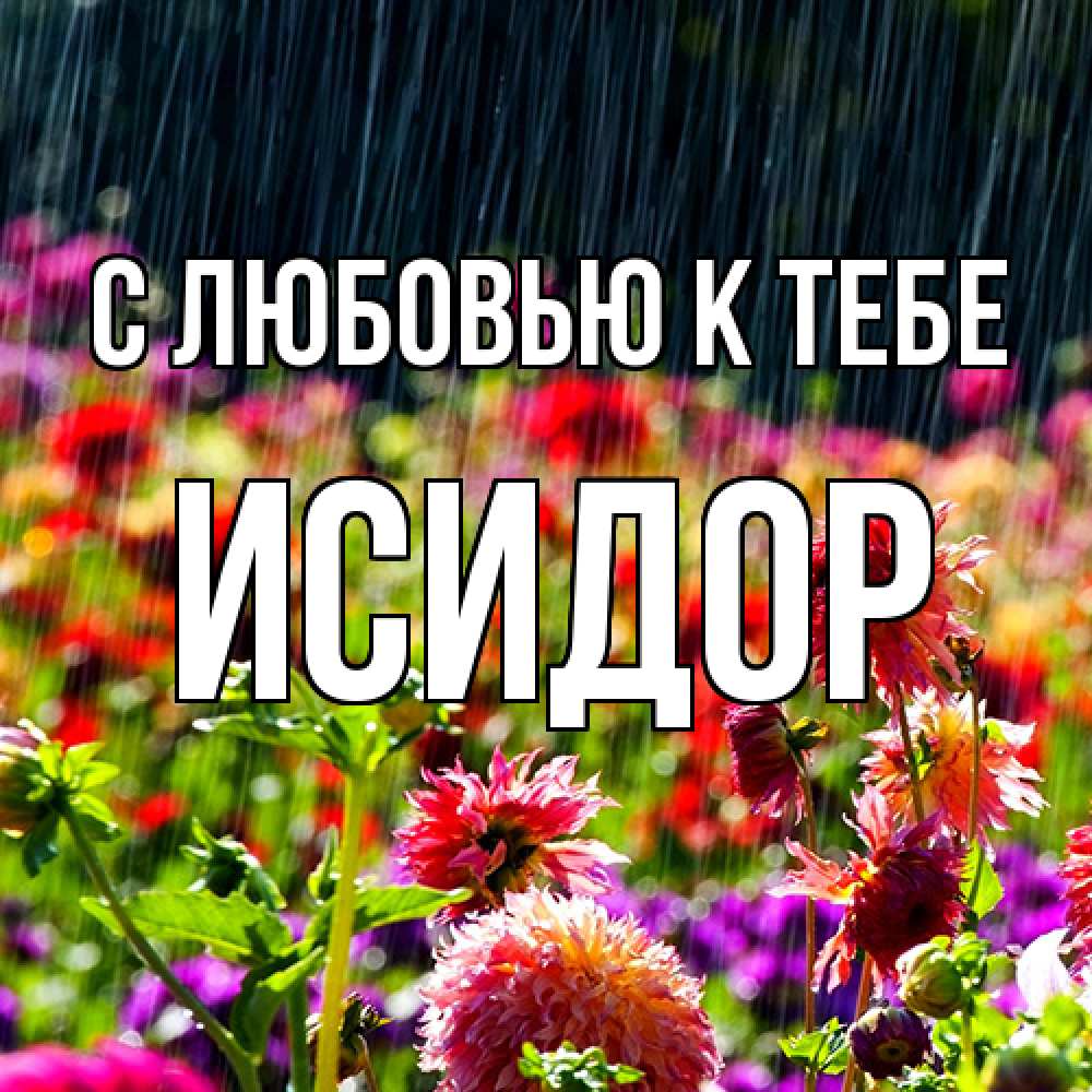 Открытка  с именем. Исидор, С любовью к тебе  