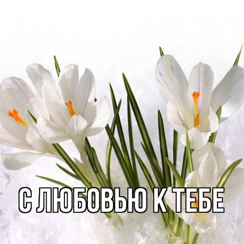 Картинка С любовью к тебе, 