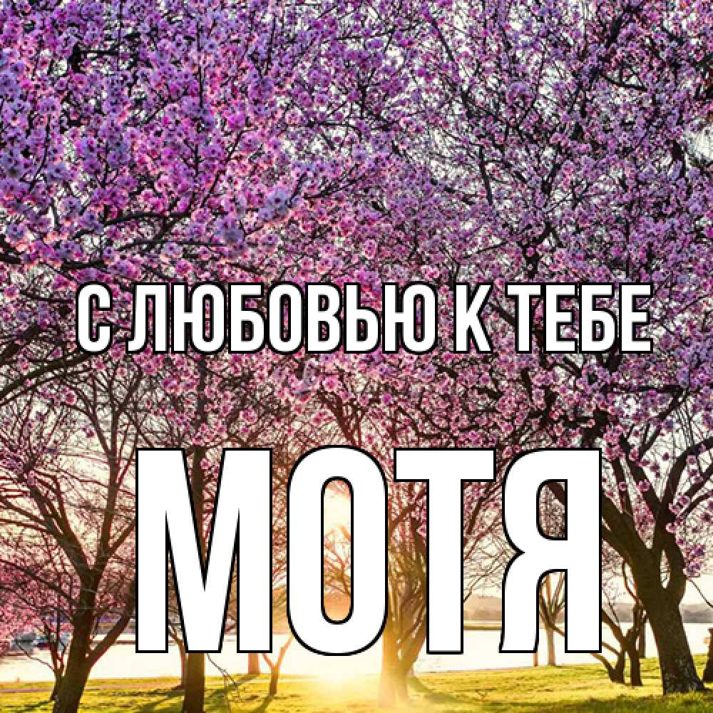 Открытка  с именем. Мотя, С любовью к тебе  