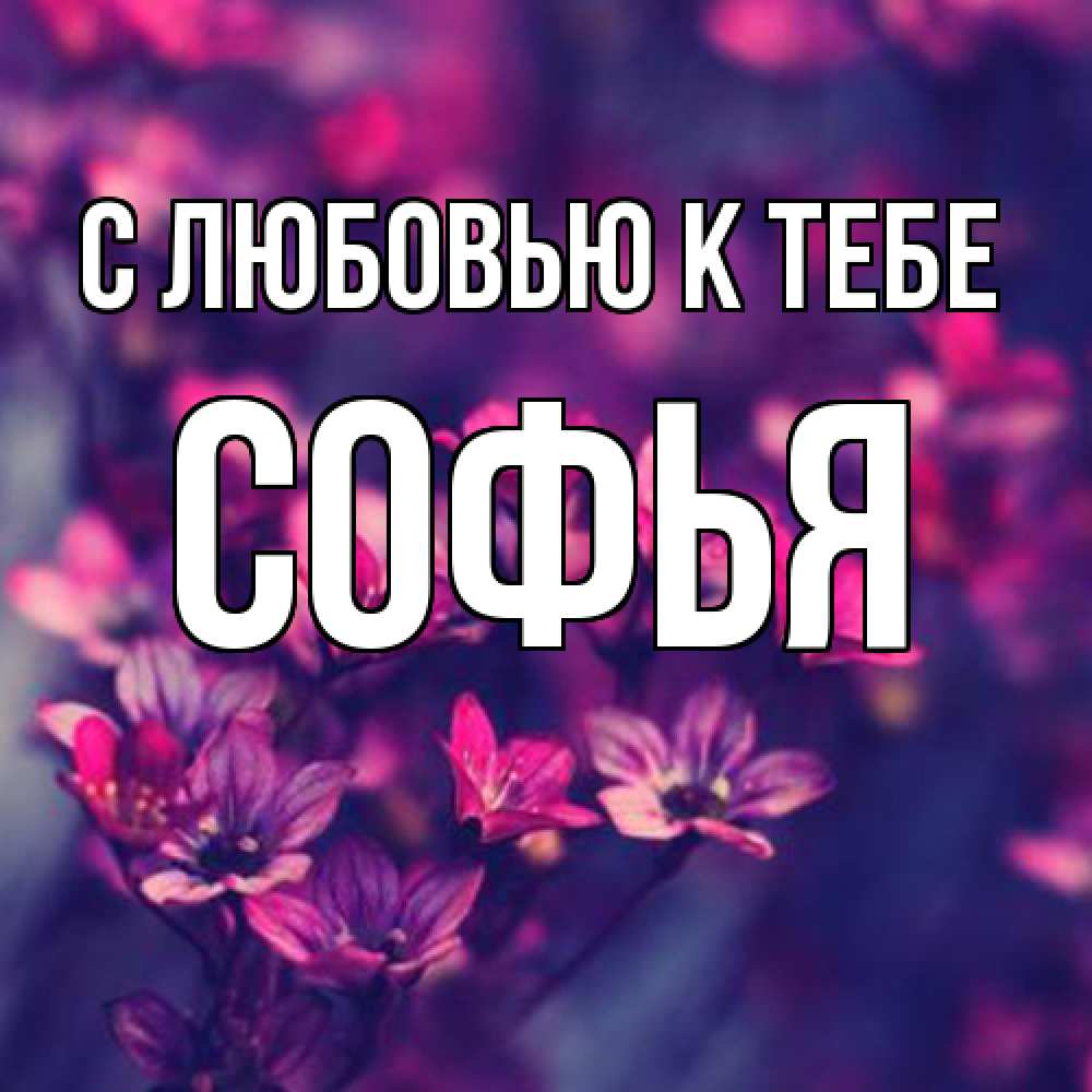 Открытка  с именем. Софья, С любовью к тебе  