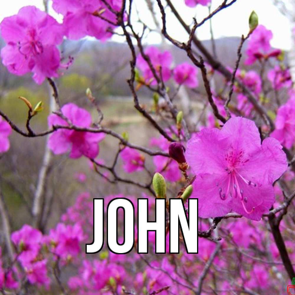 Открытка  с именем. John, Главная  