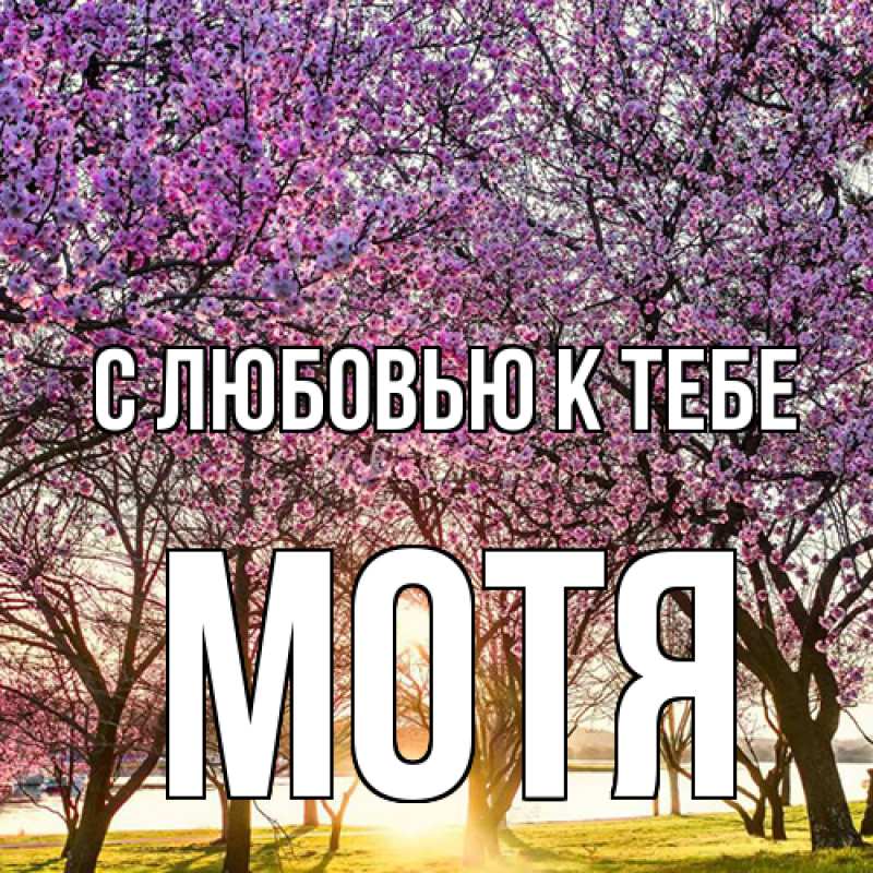 Картинка С любовью к тебе, Мотя