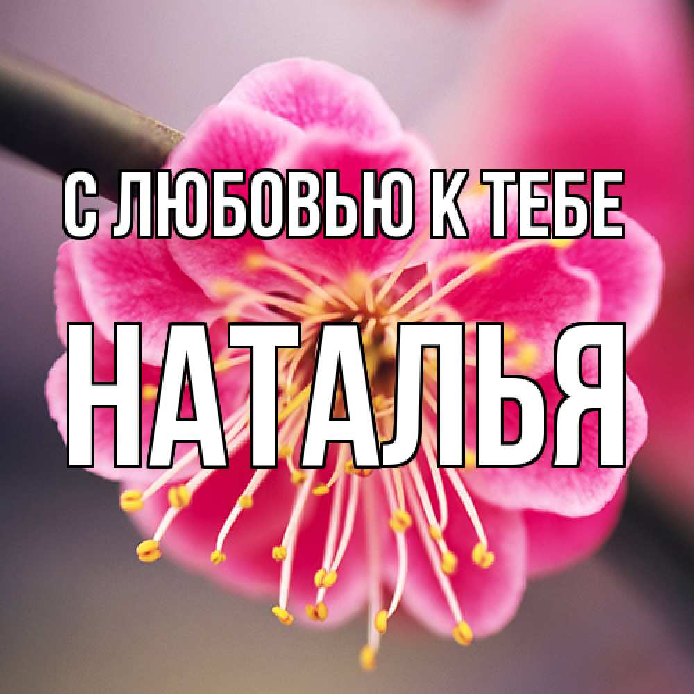 Открытка  с именем. Наталья, С любовью к тебе  