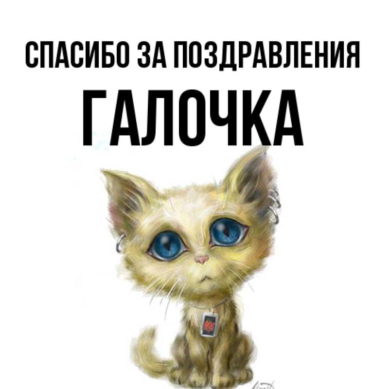 Картинка Спасибо за поздравления, Галочка