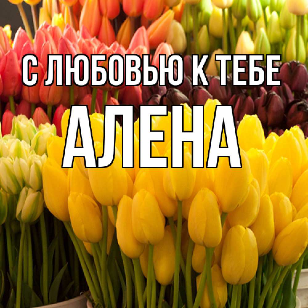Открытка  с именем. Алена, С любовью к тебе  