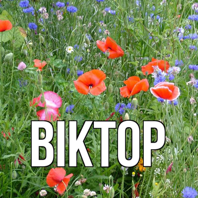 Картинка  с именем , Віктор