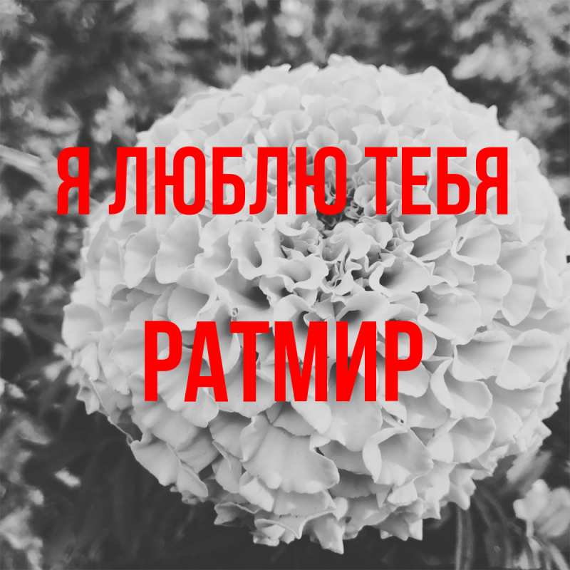 Картинка Я люблю тебя, Ратмир