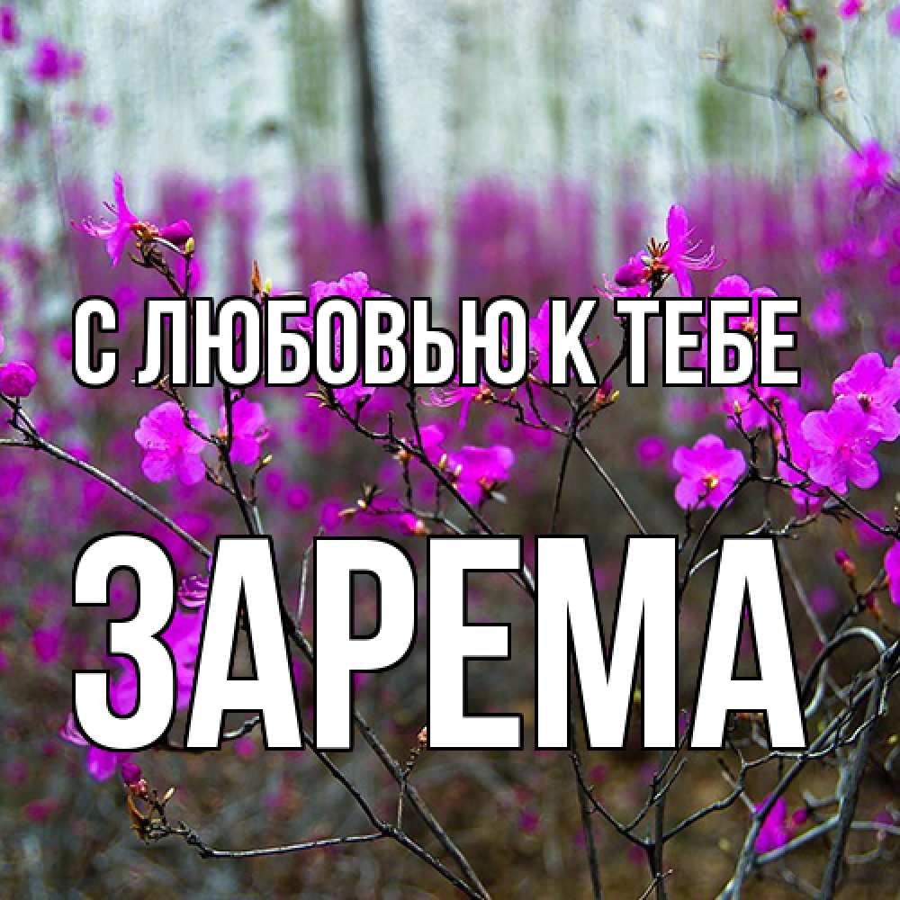 Открытка  с именем. Зарема, С любовью к тебе  